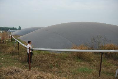 Bể Biogas Trong Chăn Nuôi Giải Pháp Tối Ưu Cho Xử Lý Chất Thải